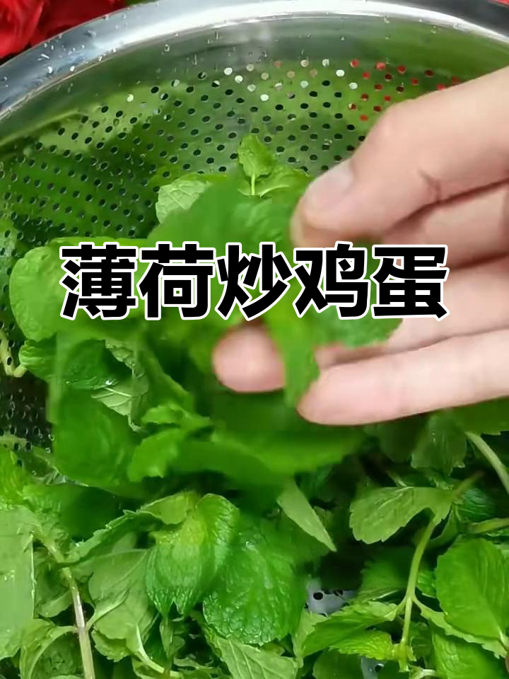薄荷炒蛋,简单又下饭的完美搭配