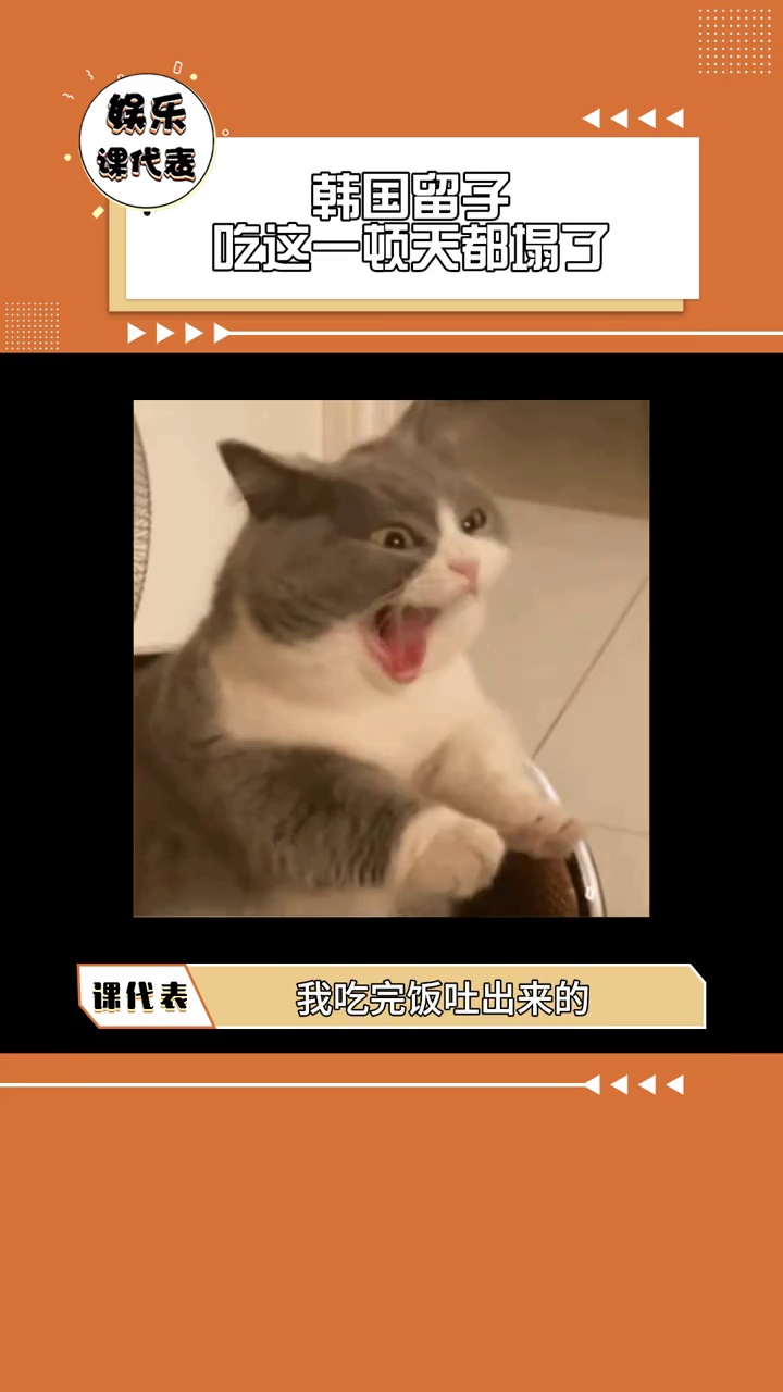 韩国留学生尝水煮鱼,天崩地裂般体验