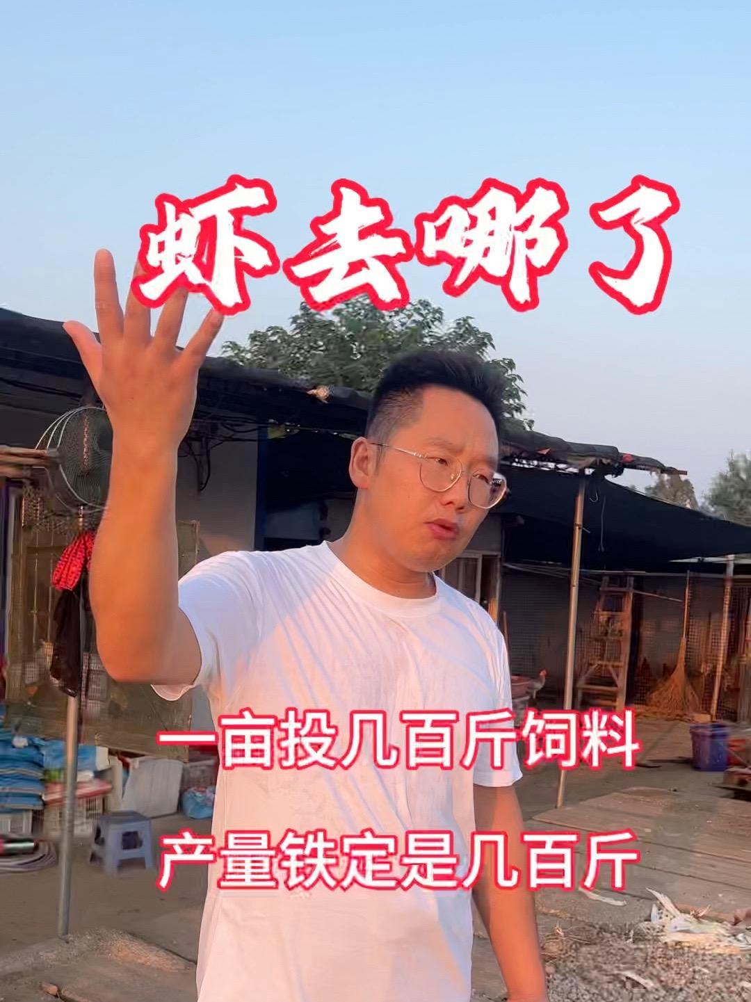 子去哪里了 亩产投多少饲料决定了亩产多少产量 多多虾谈9810 多多虾谈 水产养殖 小龙虾