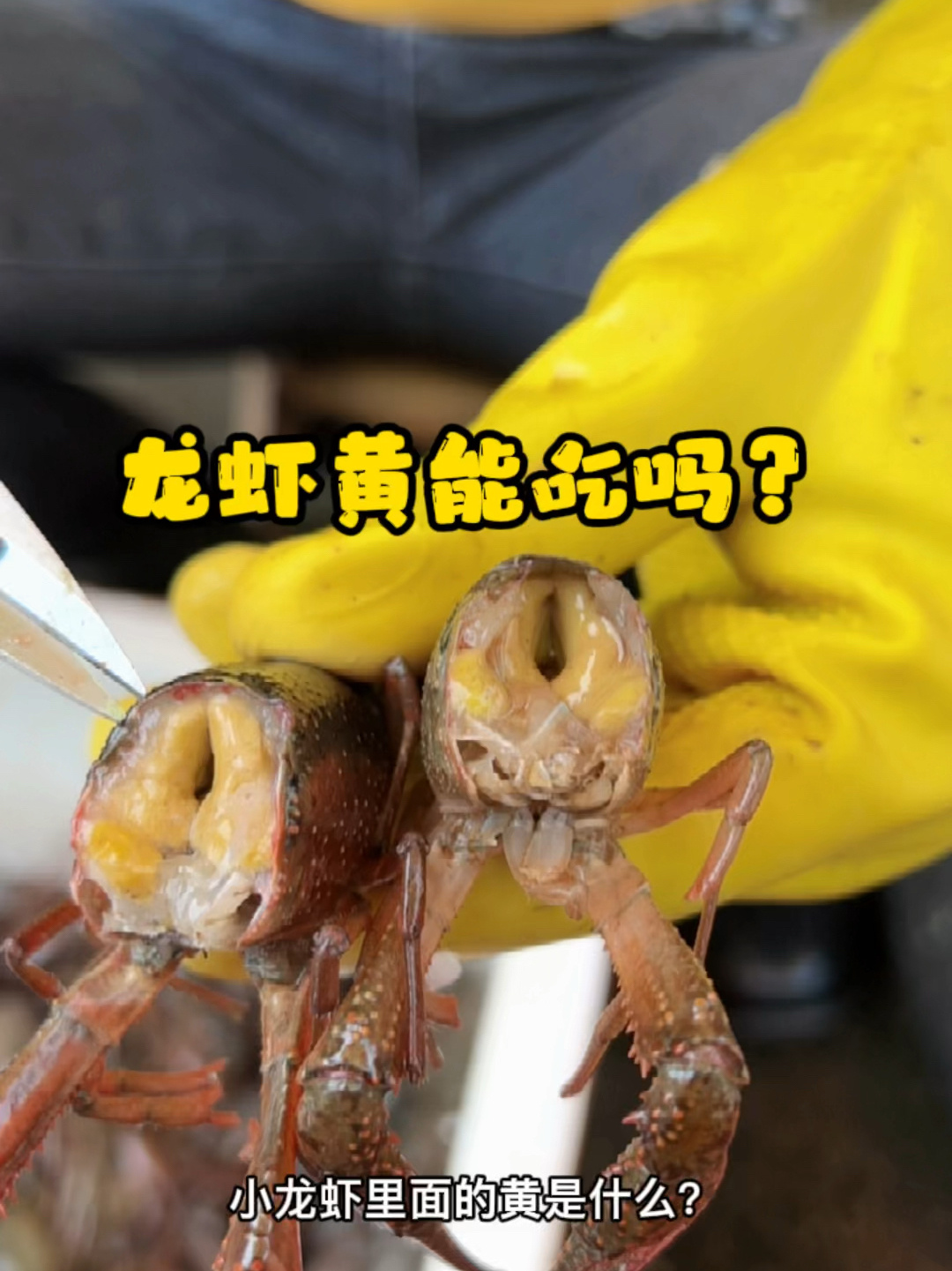 龙虾黄能不能吃?
