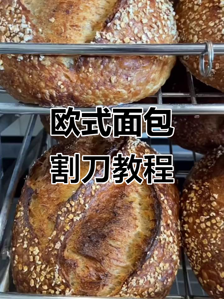 乡村欧式面包割刀技巧大揭秘,轻松做出完美造型