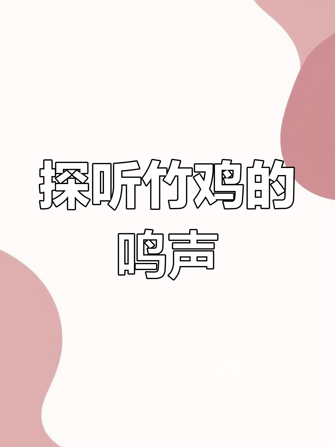 竹鸡音卡大揭秘,了解它们的叫声与自然环境
