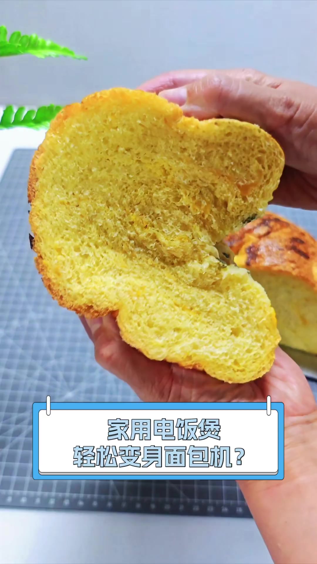家用电饭煲,轻松变身面包机?