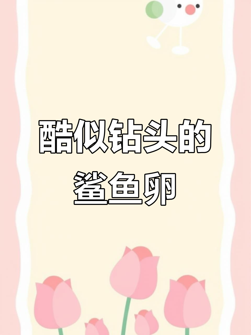 虎鲨卵像钻头，能卡在岩石里保护小鲨鱼