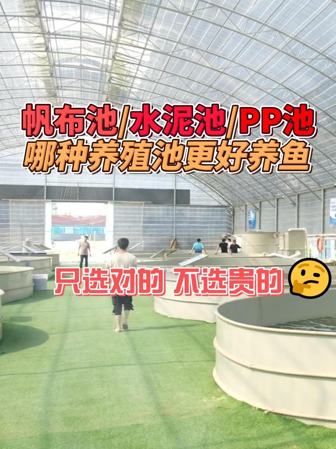 帆布池、水泥池、PP池:哪种池养鱼更好?