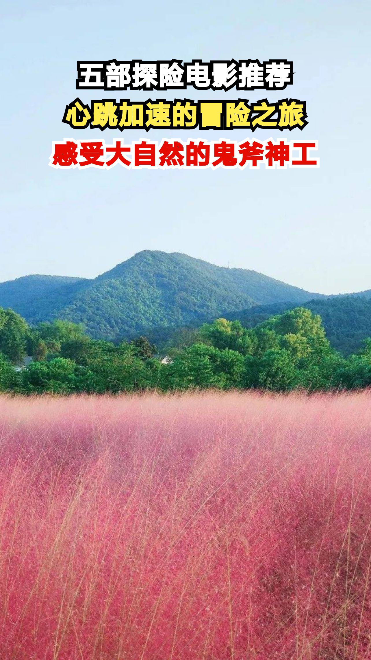 探险电影大合集!五部影片带你体验极限冒险,你敢挑战吗?