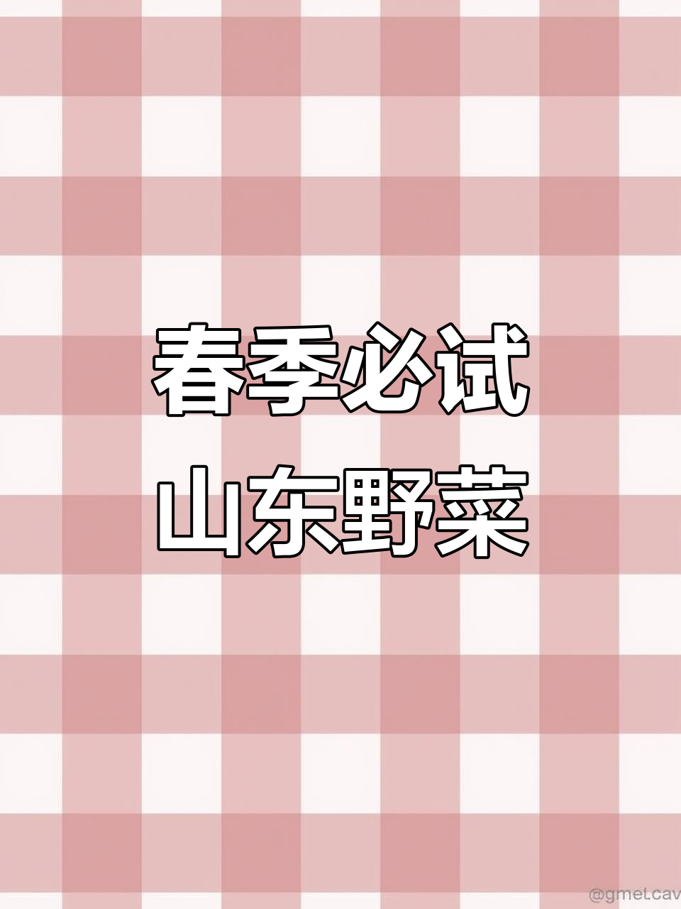 山东野菜大揭秘:春天吃这些最美味