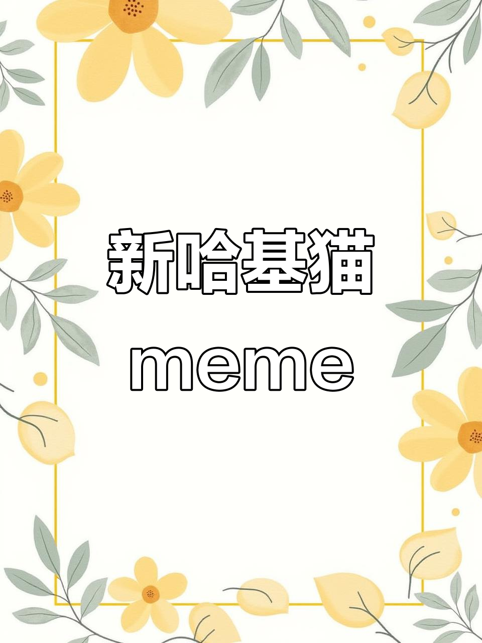哈基猫新成员登场,萌态十足!