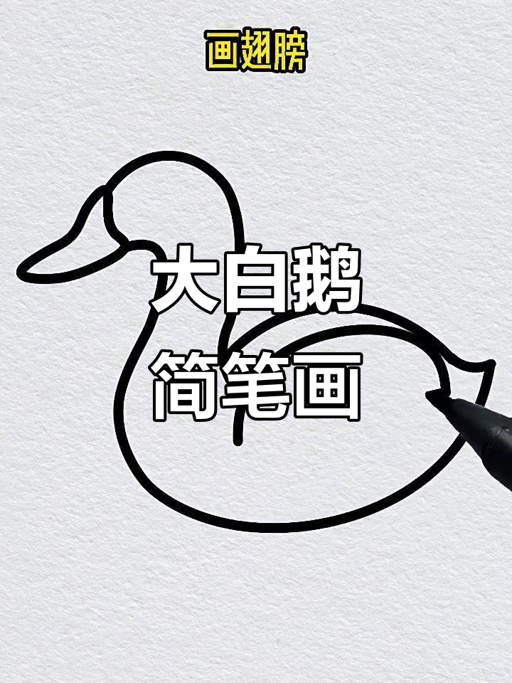 轻松几步,画出可爱大白鹅