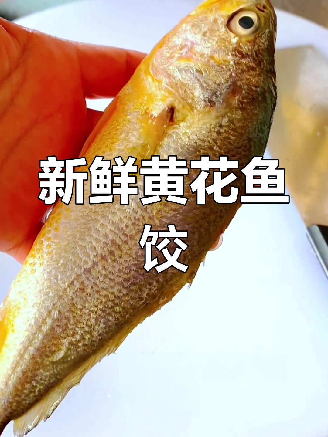 黄花鱼饺子馅的完美调配技巧