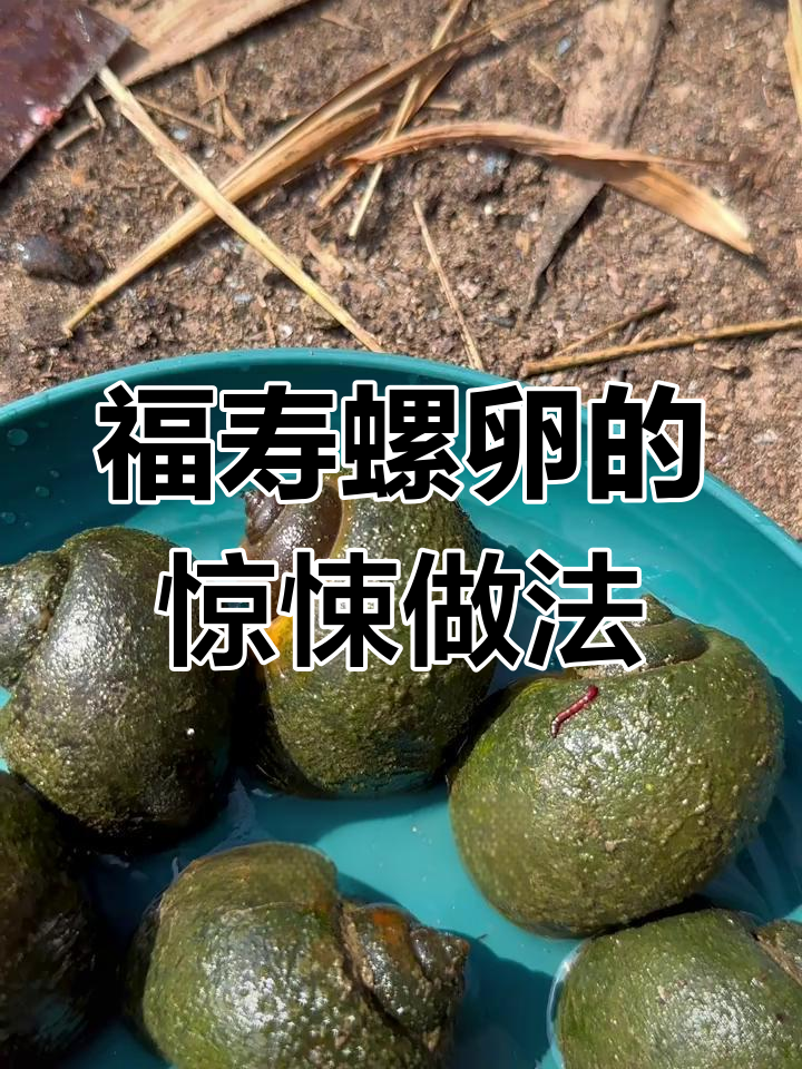 福寿螺卵凉拌,竟然能自食其果!
