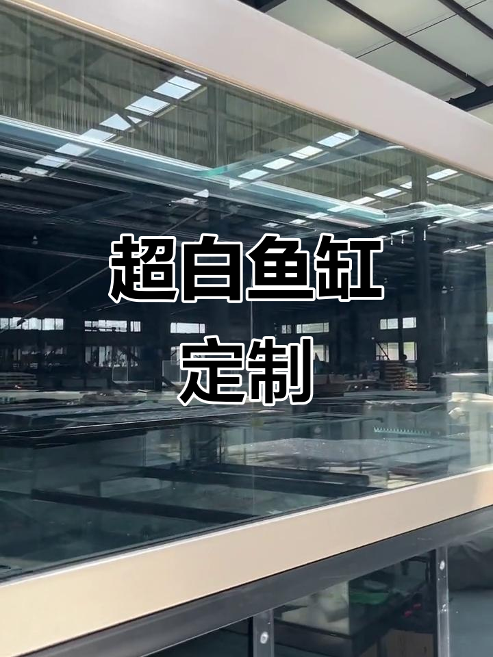 玫瑰金色龙缸，超白玻璃与底滤系统完美结合
