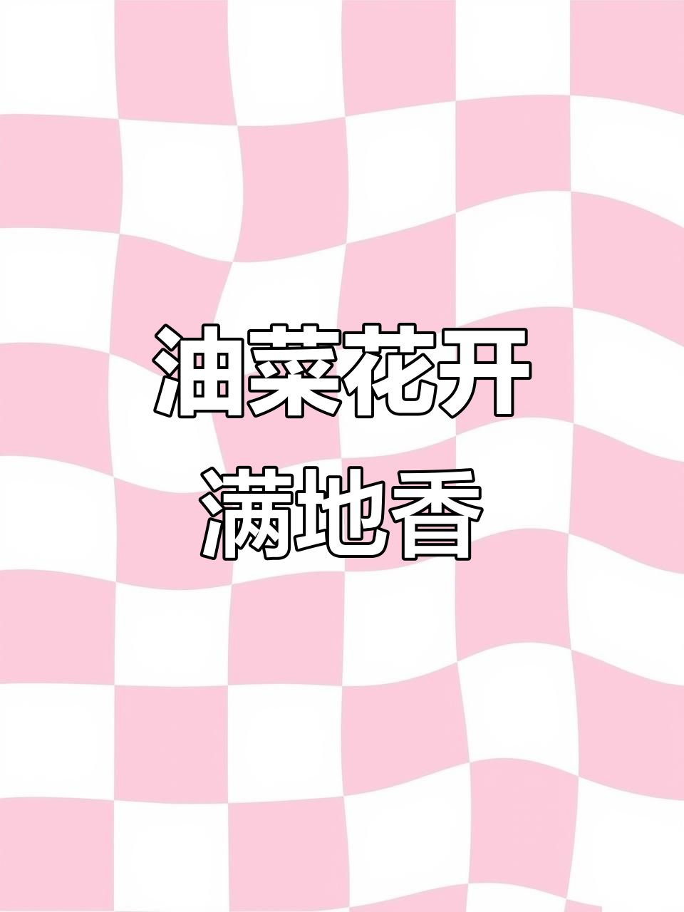 农村的油菜花春天,香气弥漫整个田野