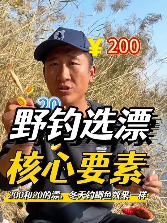 200块和20块的浮漂，冬天野钓鲫鱼区别有多大？