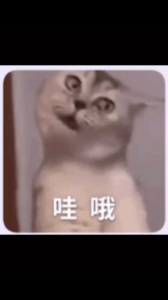 正比怪怪人苍蝇搓手.jpeg 板绘 画画 约稿 二次元 原创 procreate绘画 设子