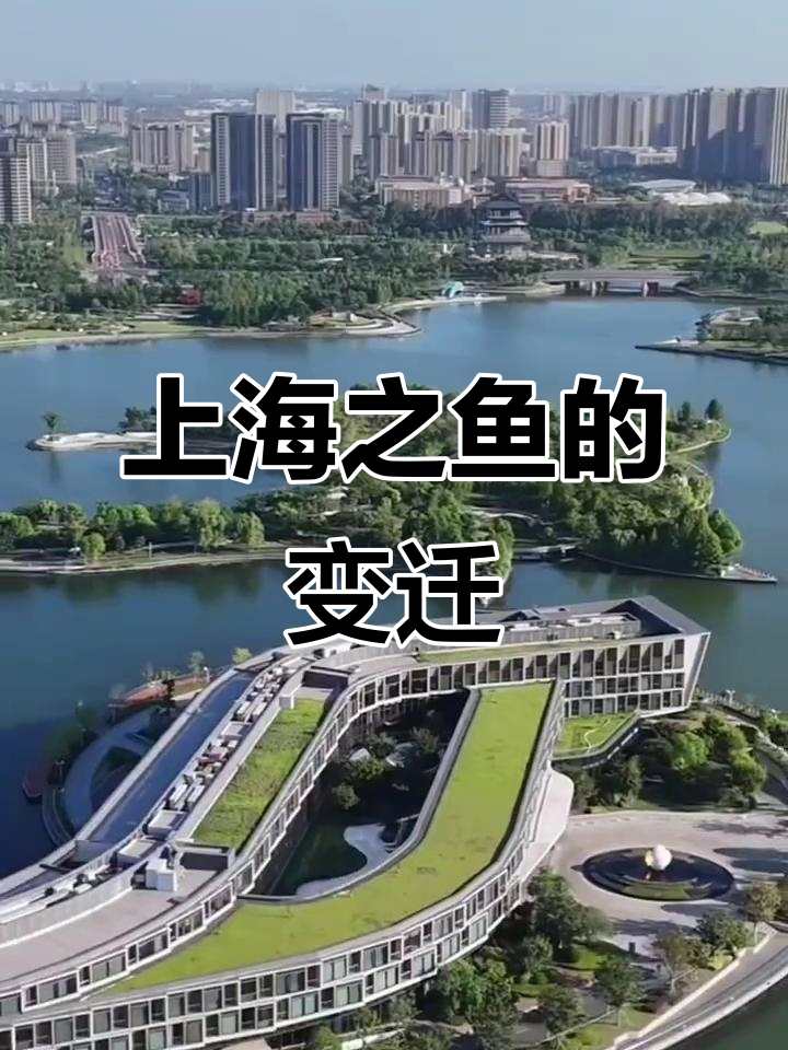 上海之鱼：从荒滩到国际级生态公园的蜕变