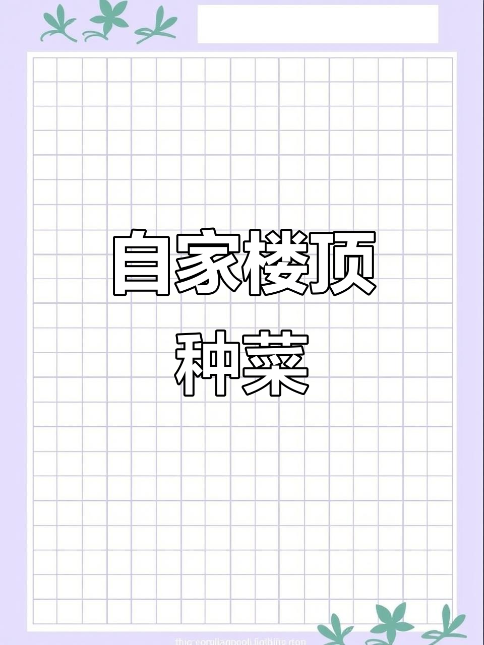 楼顶小菜园:茄子、韭菜和辣椒一应俱全,自给自足的阳台种植生活