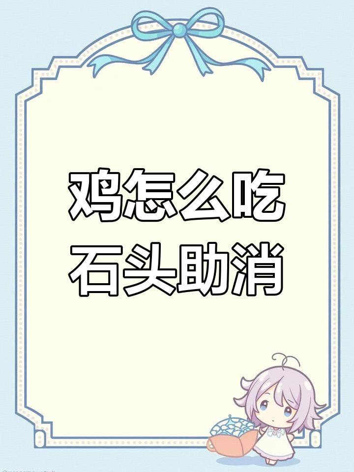 鸡的消化系统:如何用砂石磨碎食物?