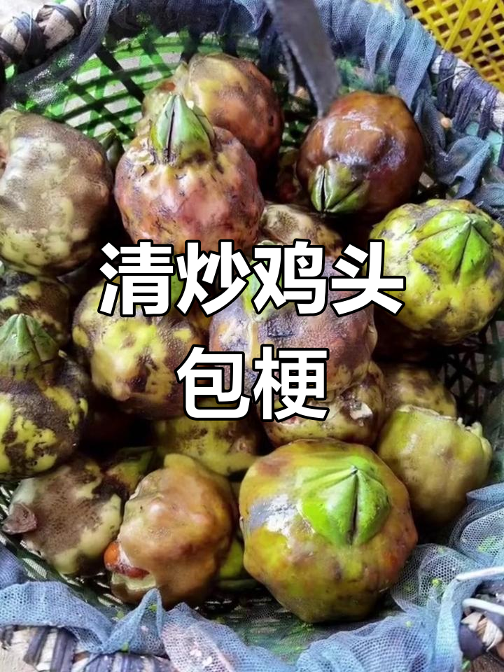 湖北特色美食鸡头包梗,清炒做法大揭秘