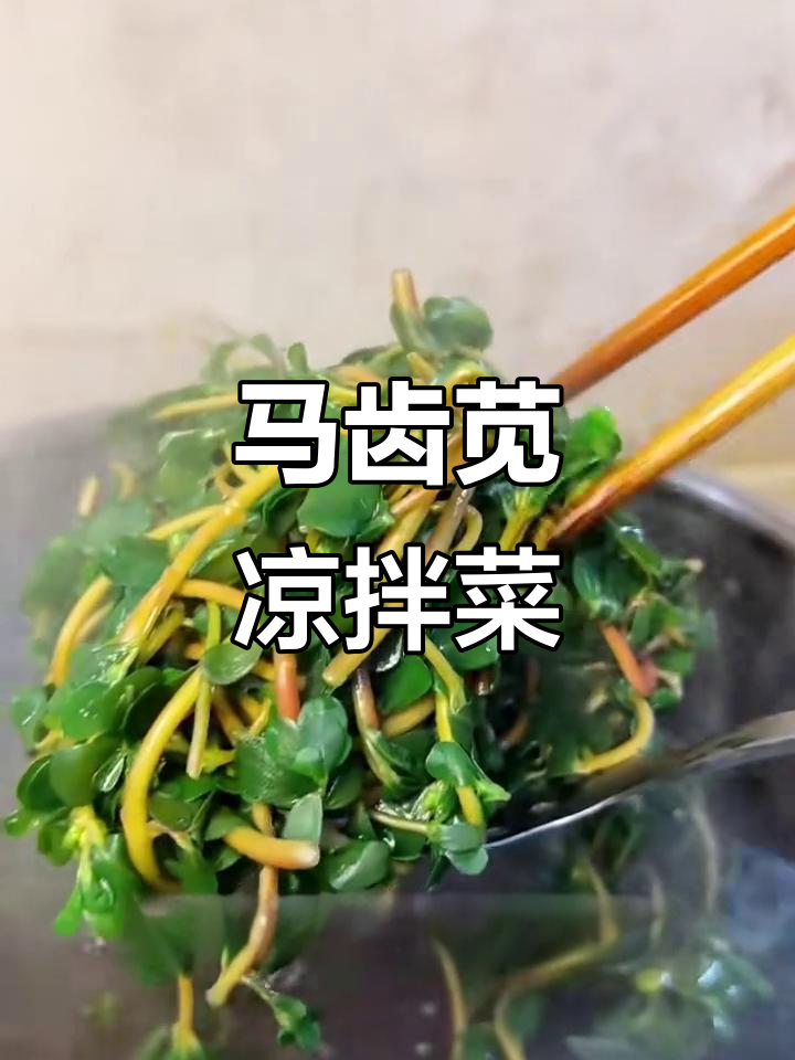 夏日清凉必备!酸辣马齿苋凉拌菜,开胃又养生