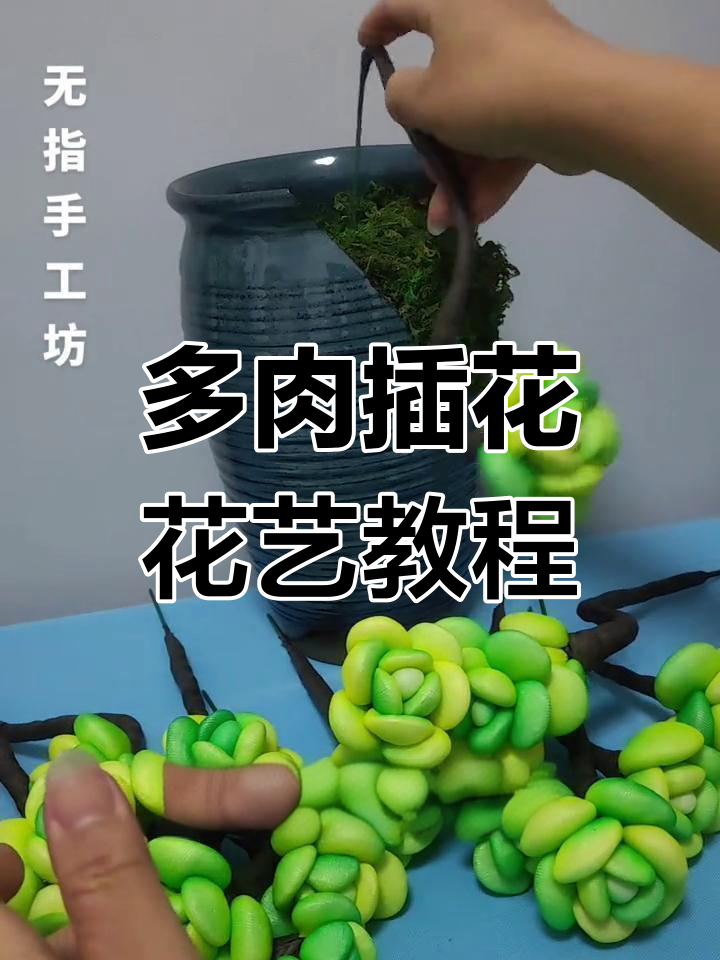 创意插花技巧,打造独特多肉造型