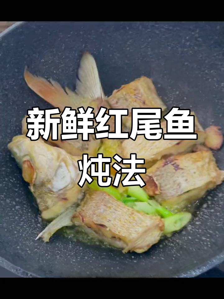 红尾鱼炖豆腐,营养丰富汤鲜美