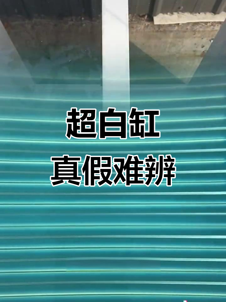 鱼缸选购避坑指南,如何辨别超白缸的真伪