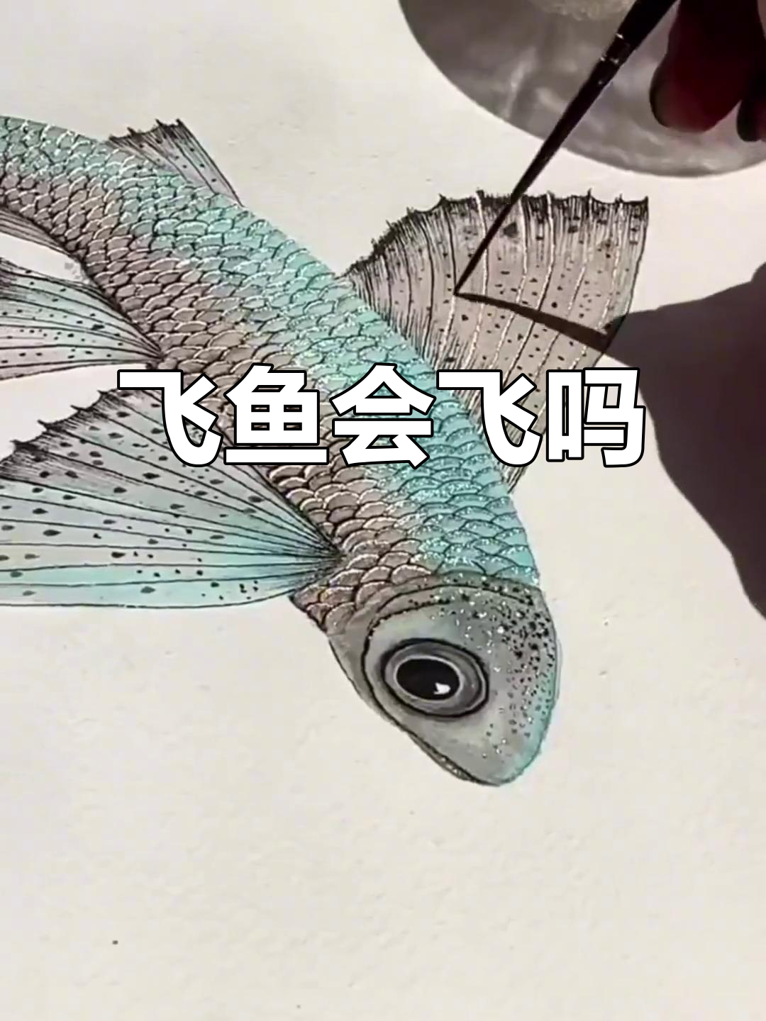 飞鱼真的能飞吗？水彩画法教学