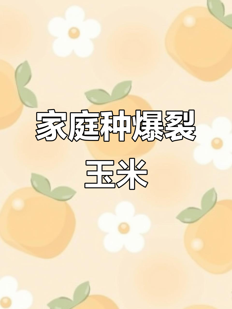 在家种植爆米花玉米，轻松收获美味！