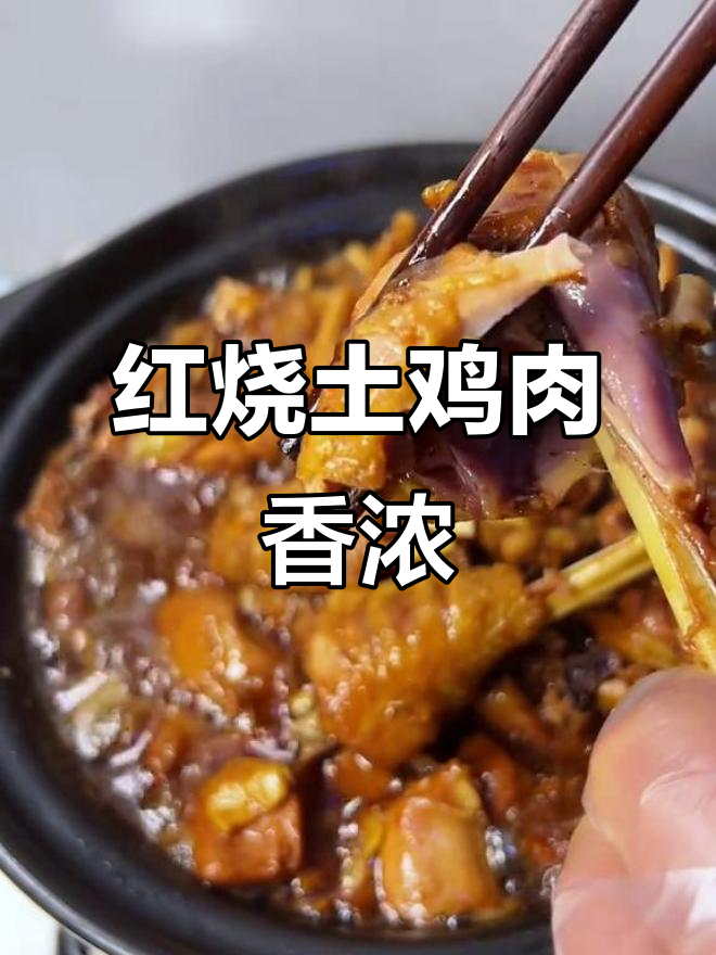 原汁原味红烧土鸡,肉质软烂香气扑鼻,孩子们吃得停不下来