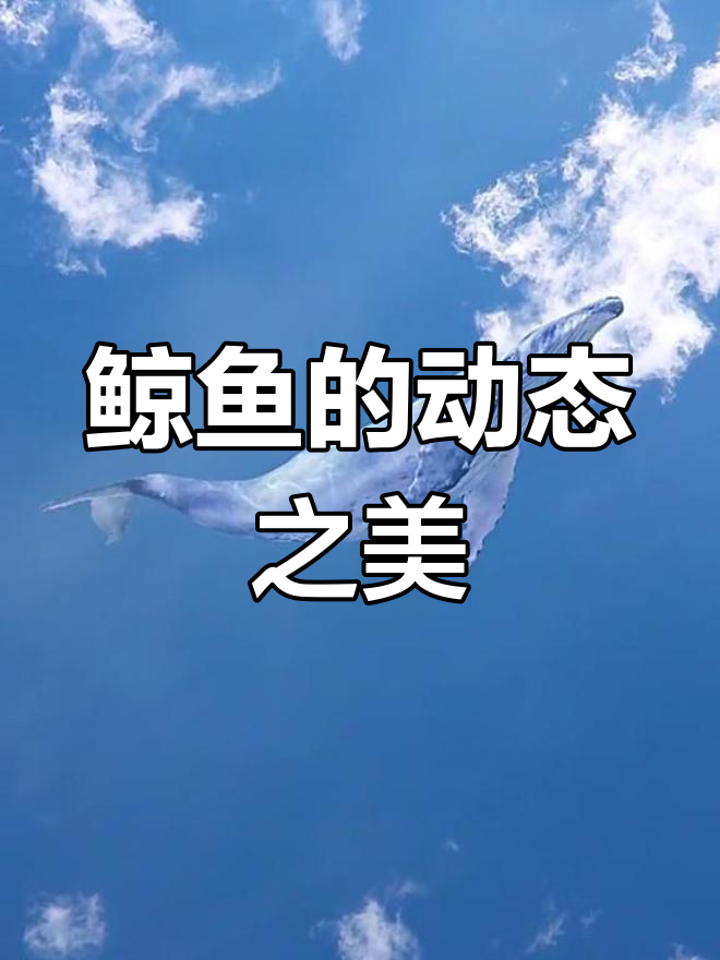 鲸鱼动态壁纸,感受海洋的魅力