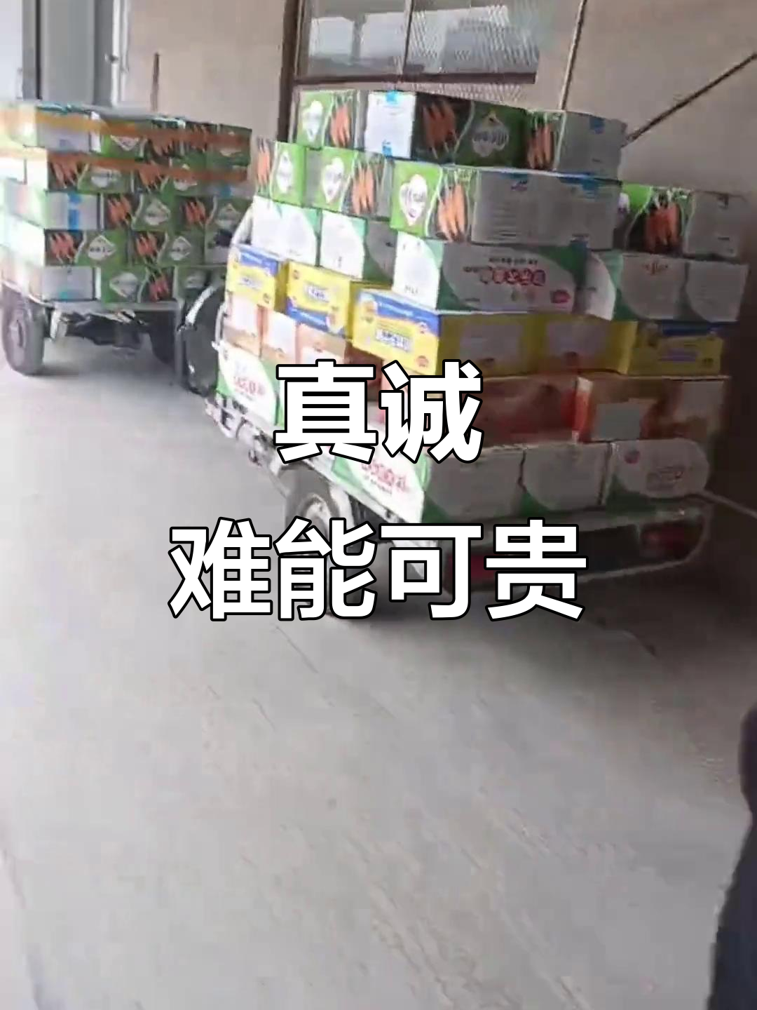 在这个聪明人遍地的时代,真诚才是最难得的珍贵品质