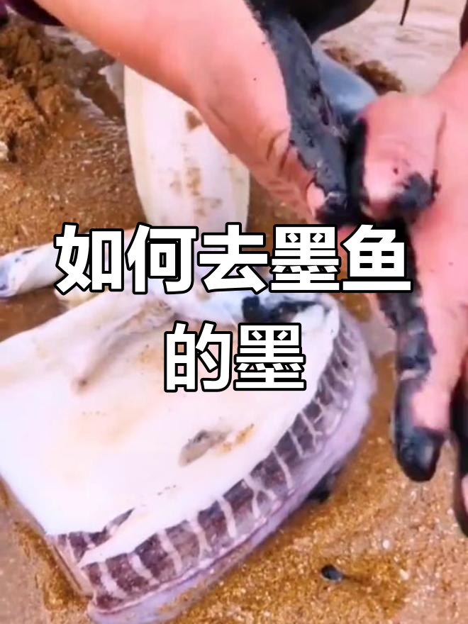 墨鱼牙齿和墨水大揭秘，教你轻松去除！