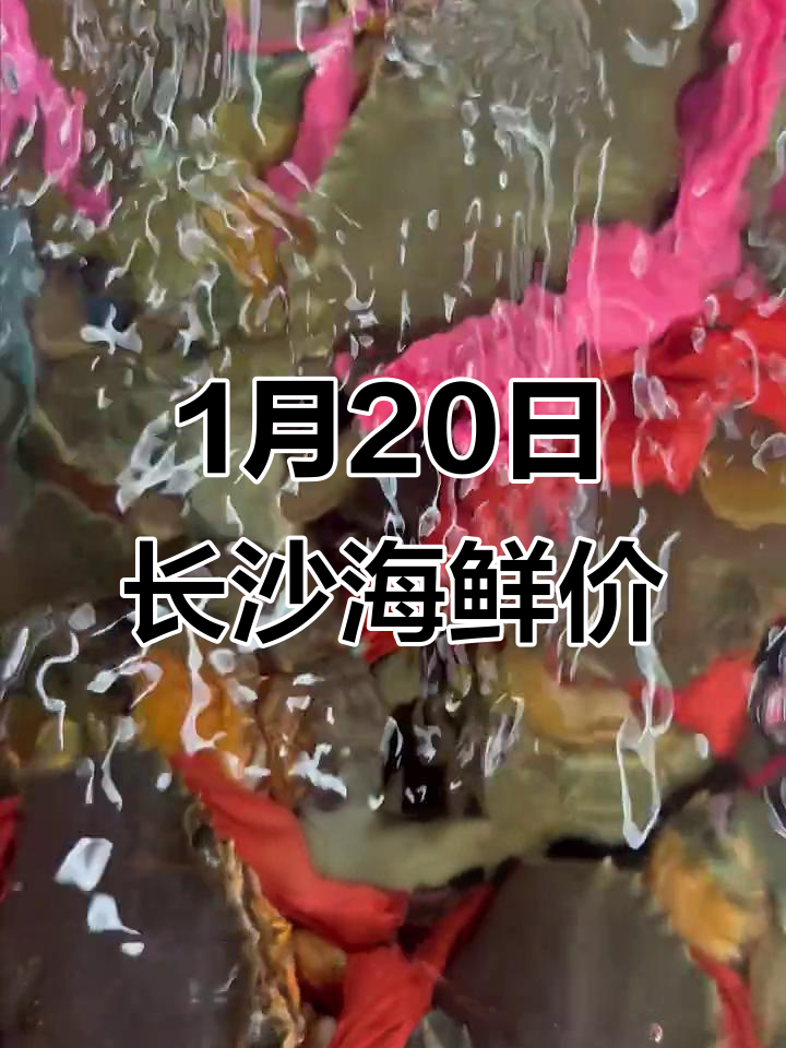 1月20日长沙海鲜市场行情,大肉蟹、明虾等价格一览