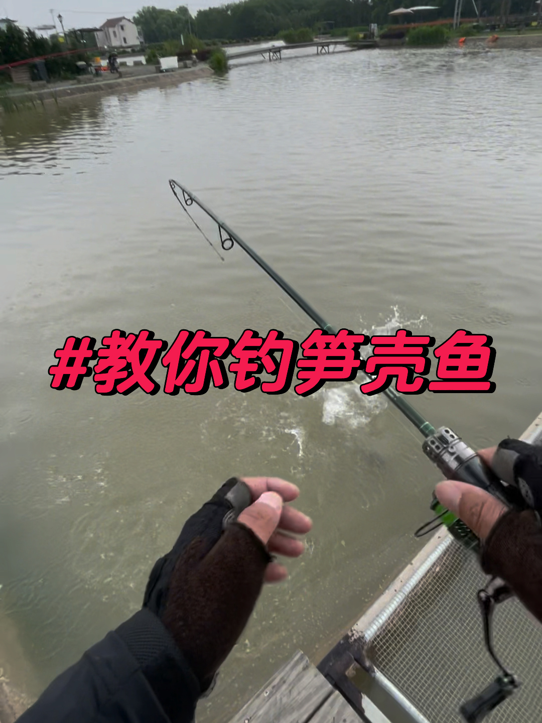 做钓攻略|笋壳鱼