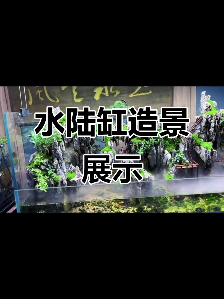 一米五水陆缸造景骨架制作,打造自然景观