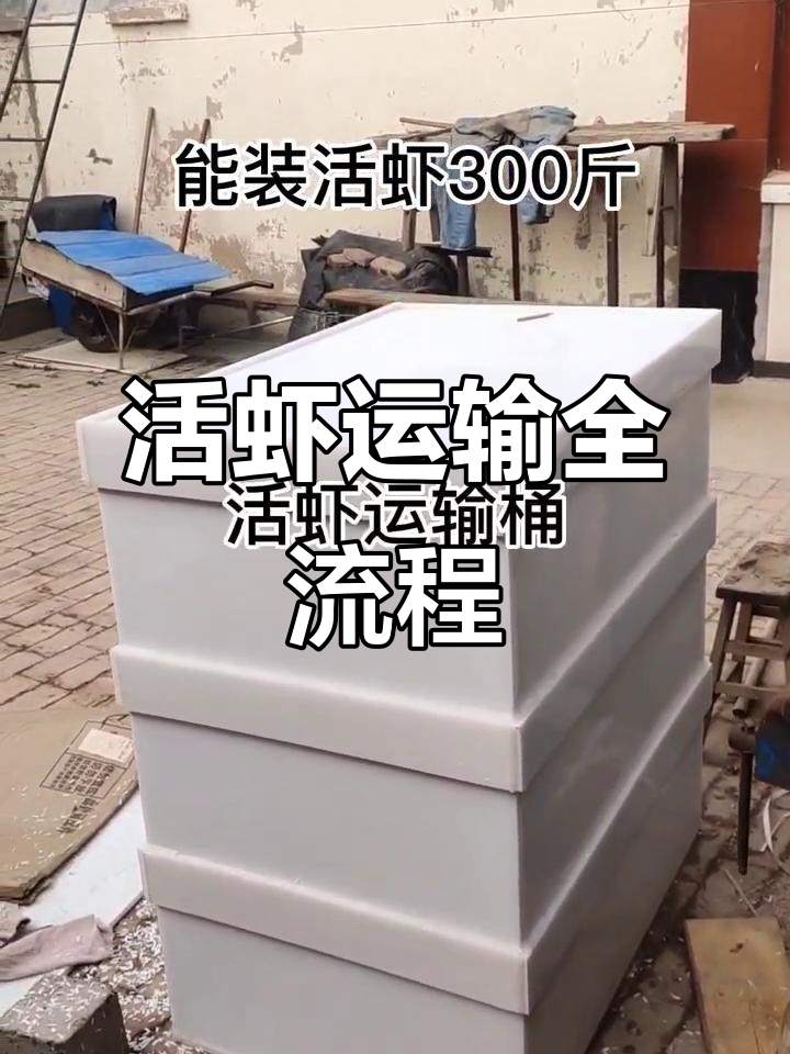 活虾运输与海鲜批发：从养殖到市场全程解析