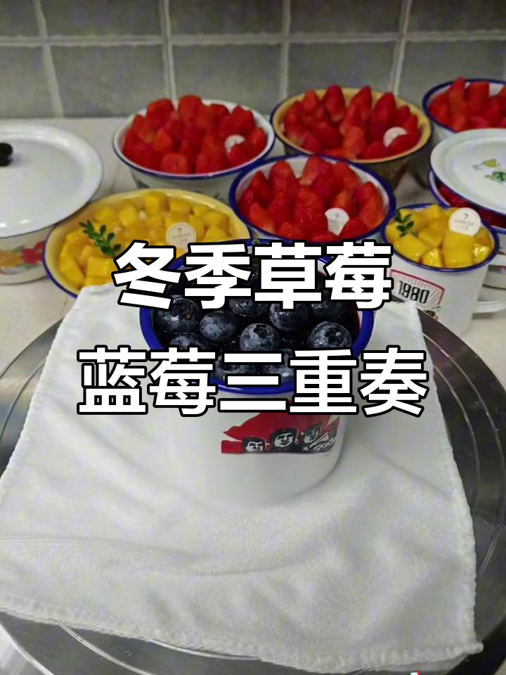 冬日草莓蛋糕与蓝莓芒果的完美碰撞,带你感受甜蜜时光