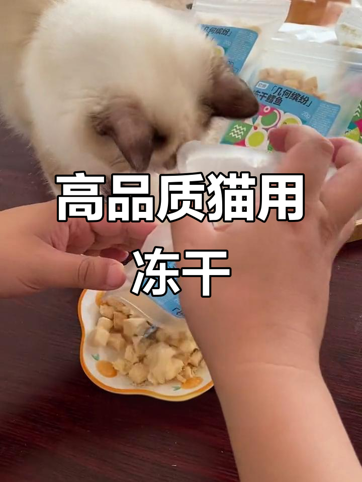 纯天然冻干鳕鱼,猫咪营养更丰富