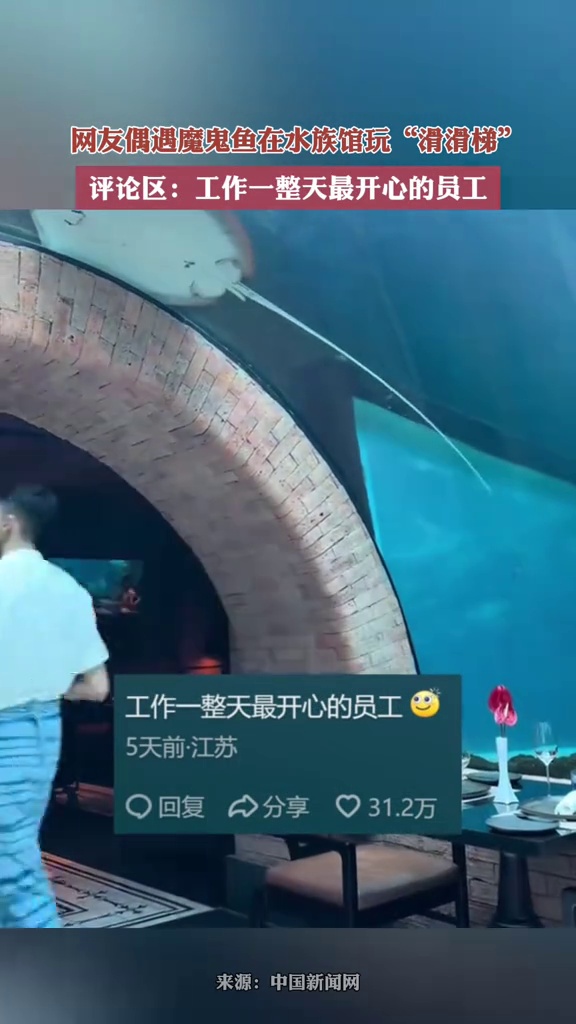 网友偶遇魔鬼鱼在水族馆玩“滑滑梯”,评论区:工作一整天最开心的员工