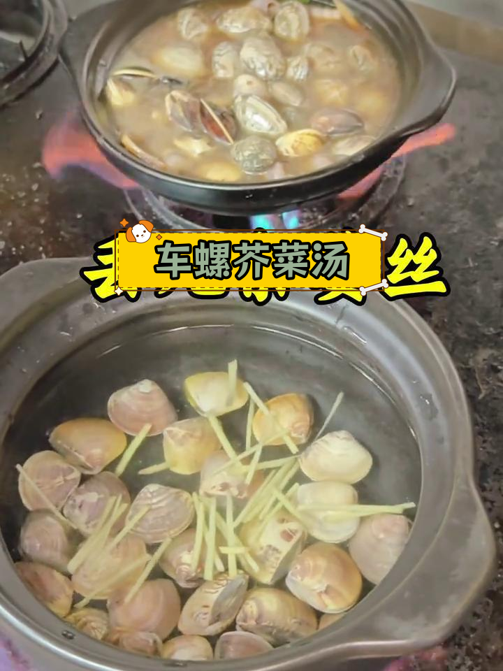 北海必试车螺芥菜汤,鲜甜美味到爆!