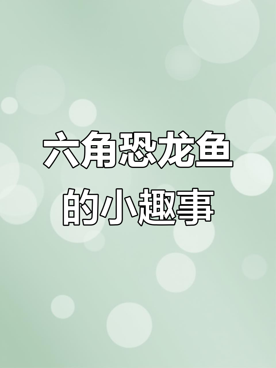 六角恐龙鱼呆萌追姐姐,小眼神太可爱了!