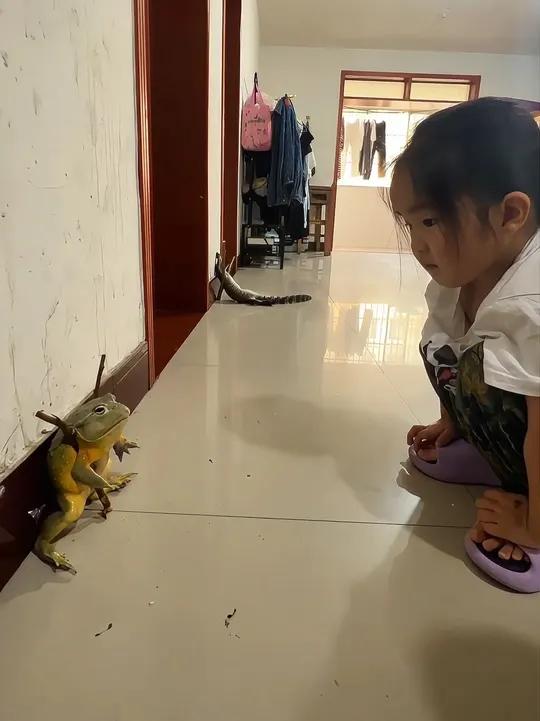 小女孩牛蛙站的姿势洋气！小鳄鱼睡的跟花小猪一样，快来让妈祖看