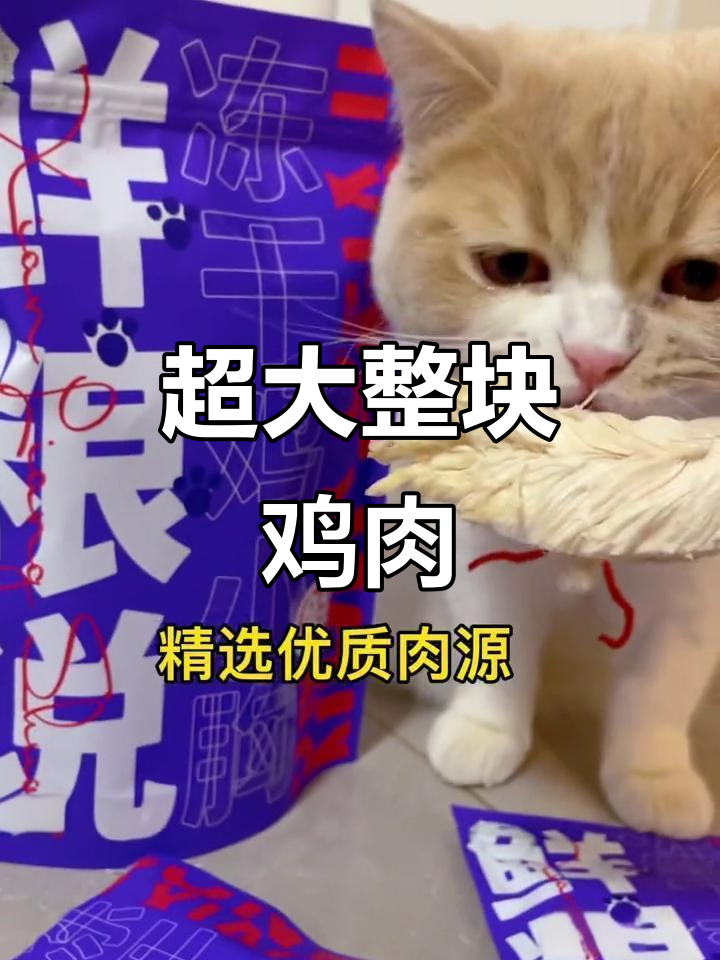 超大块鸡小胸，猫咪超爱！