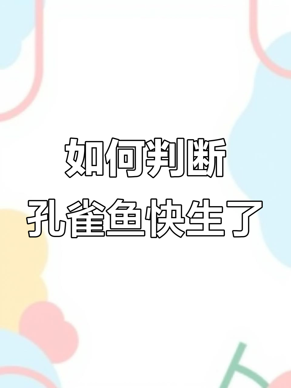 孔雀鱼临产征兆,如何判断并接生宝宝