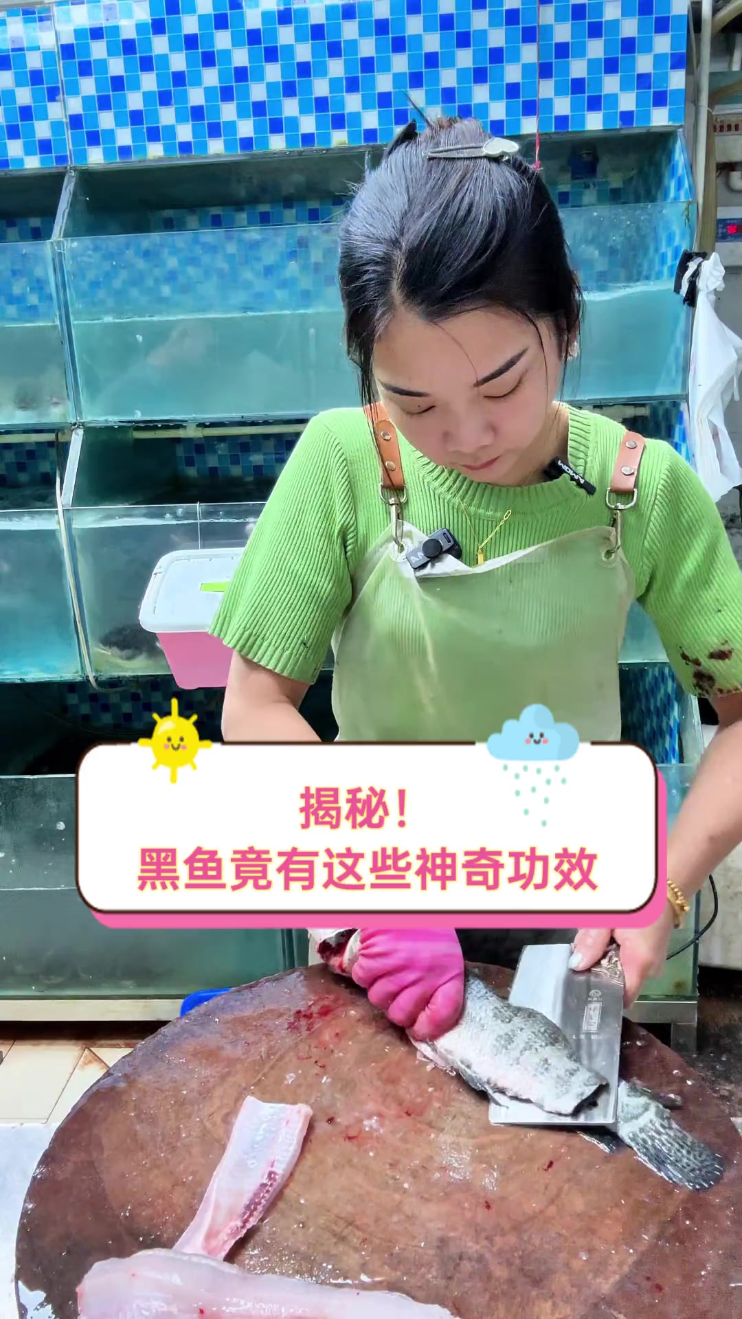 揭秘!黑鱼竟有这些神奇功效