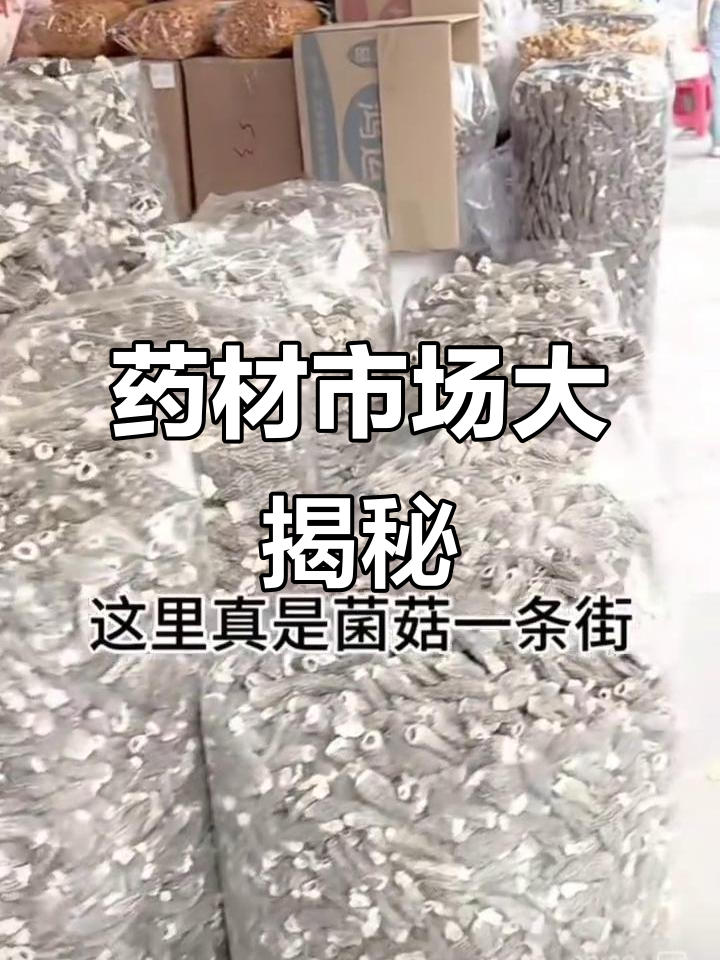 探索广东药材市场,汤料种类繁多,令人眼花缭乱!