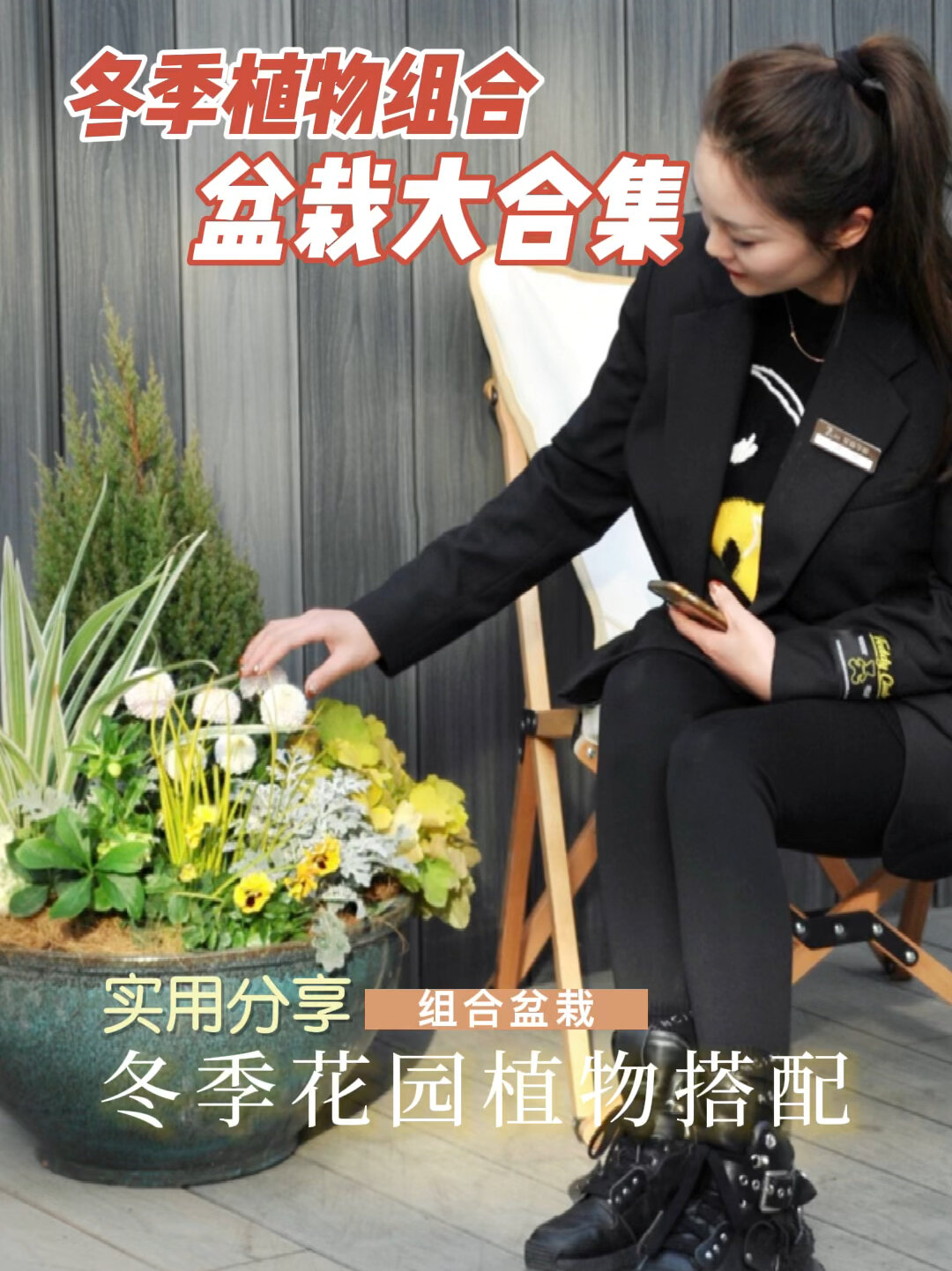 适合冬季的花园植物组合盆栽大合集!