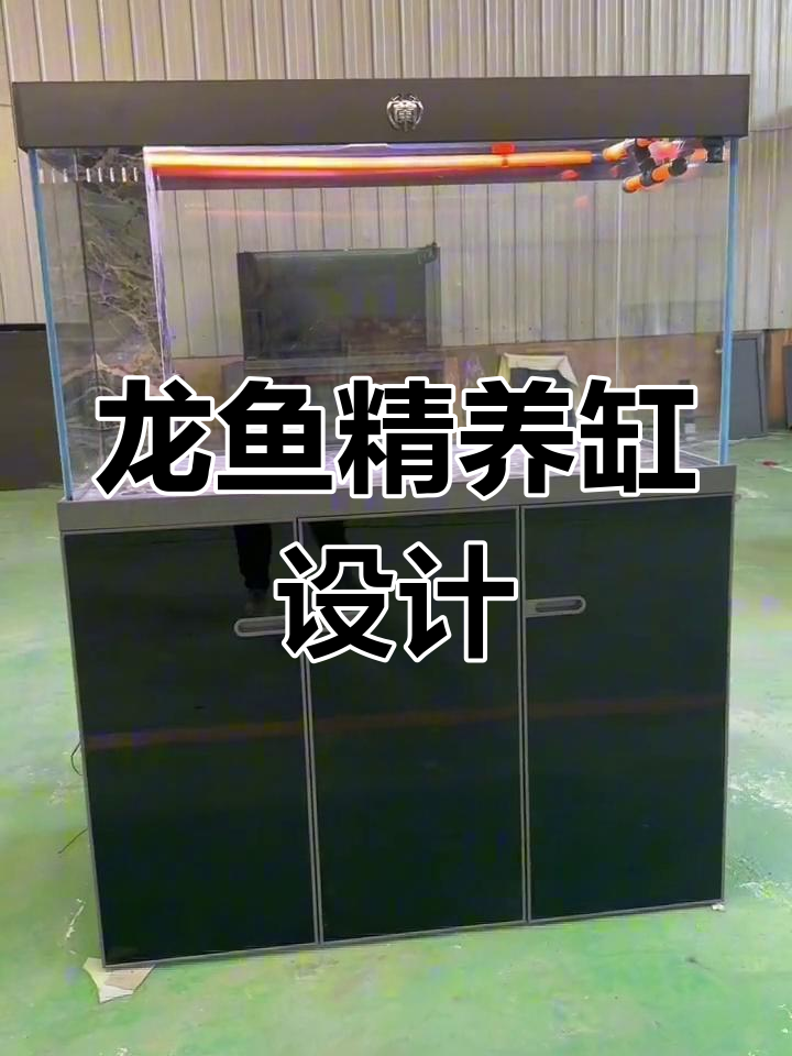 极简龙鱼缸定制,超白玻璃与黑玻钢化门搭配