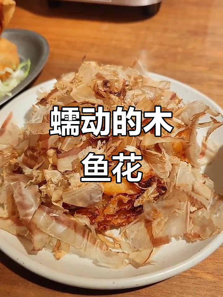 木鱼花在水中蠕动,竟然这么有趣!